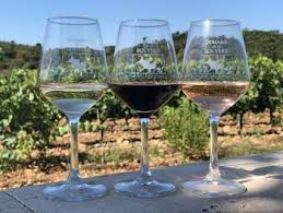 gezellige wijnproeverij Bordeauxwijnen